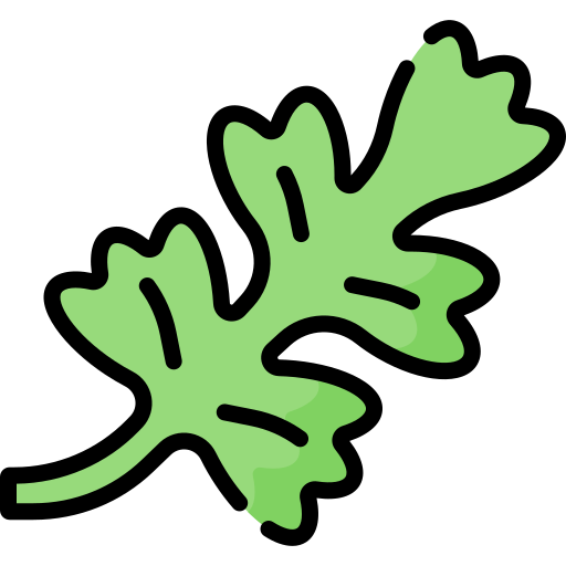 Chervil Special Lineal color icon