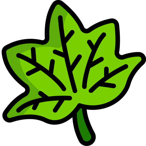 Maple leaf Generic Outline Color icon