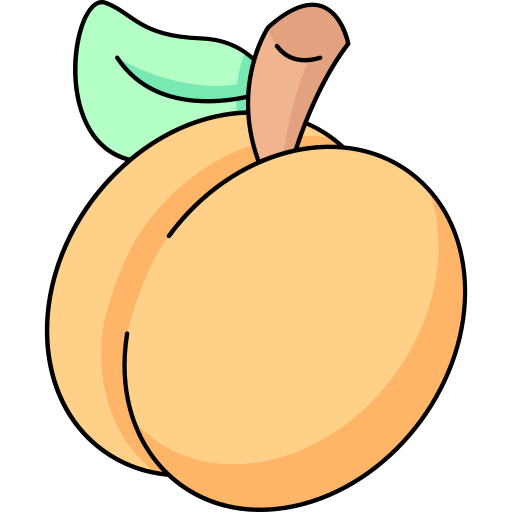 Apricot free icon Apricot free icon