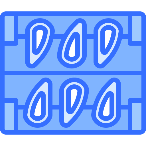 muschel kostenlos Icon