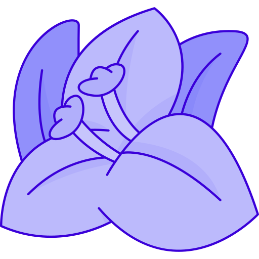 Bougainvillea Generic Outline Color icon