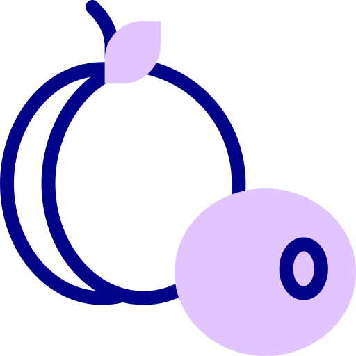 prune Icône gratuit prune Icône gratuit