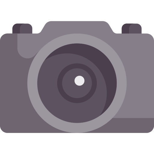 Camera Special Flat icon