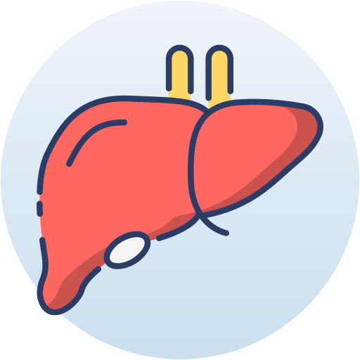 hígado icono gratis