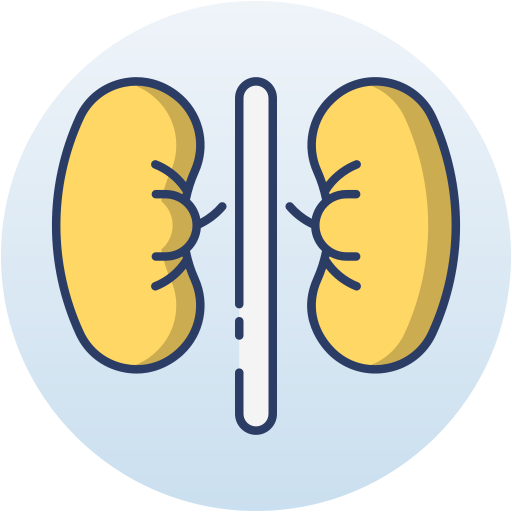 riñón icono gratis
