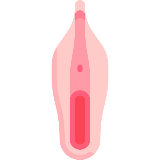 vulva icono gratis