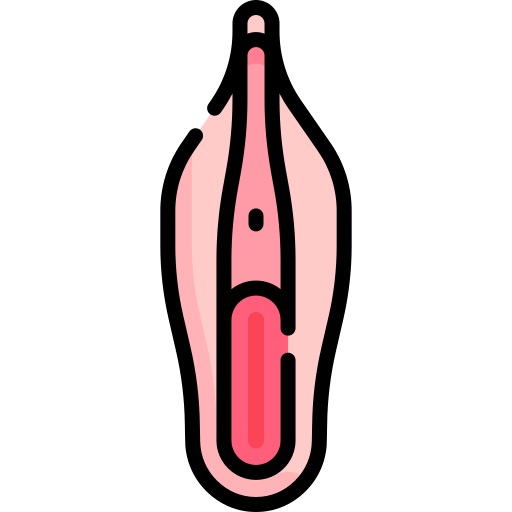 vulva icono gratis