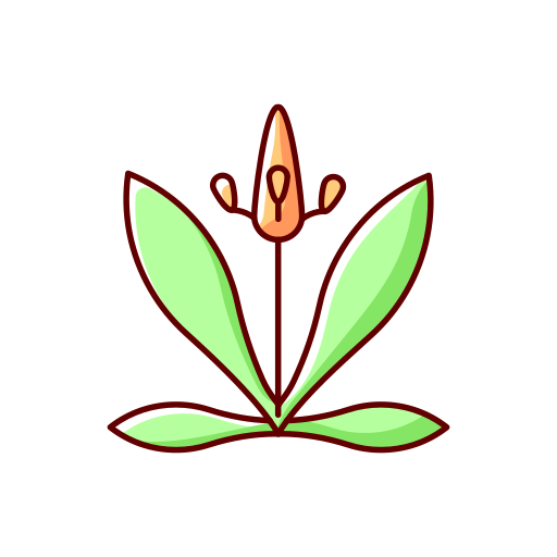 anlage kostenlos Icon