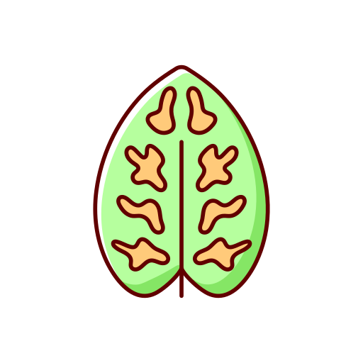 dieffenbachia Icône gratuit