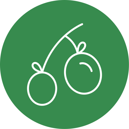 aceitunas icono gratis