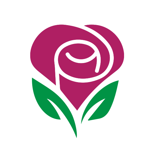 Download A Black Background With A Pink Circle And A Rose Wallpaper