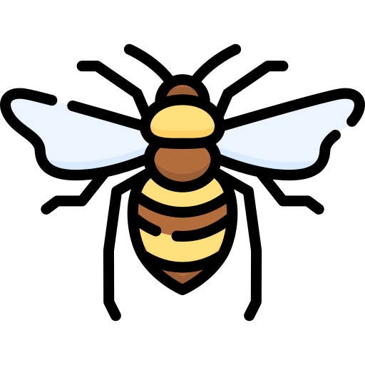 Bee Special Lineal color icon