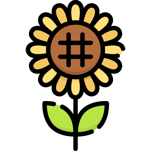 Sunflower free icon