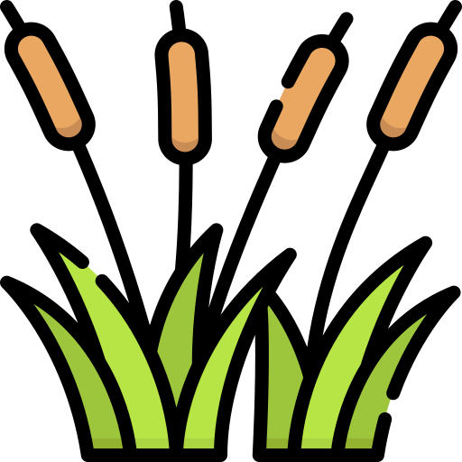 schilf kostenlos Icon