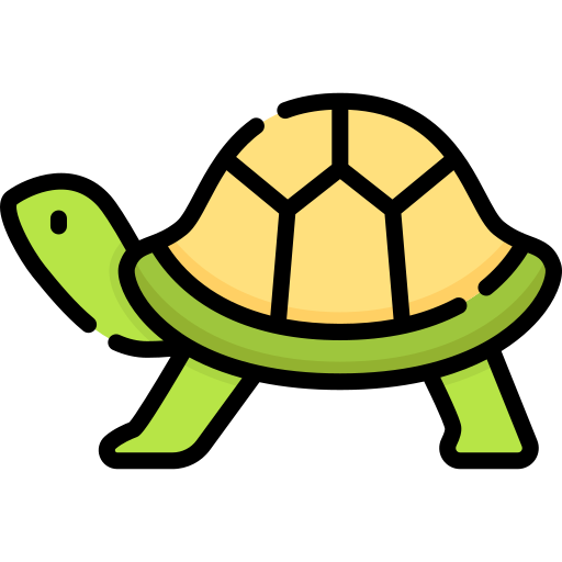 Turtle Special Lineal color icon