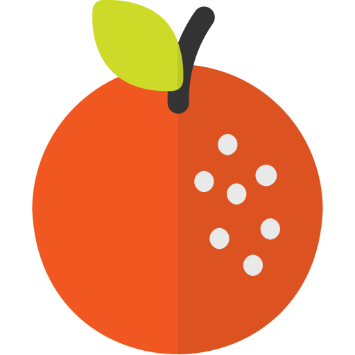 orange Icône gratuit orange Icône gratuit