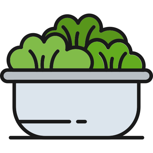 Salad free icon Salad free icon
