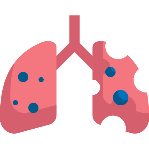 Lungs Generic Flat icon