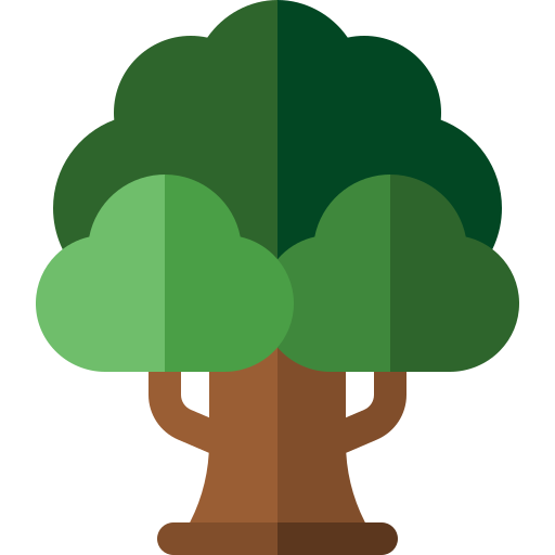 Sycamore - Free nature icons