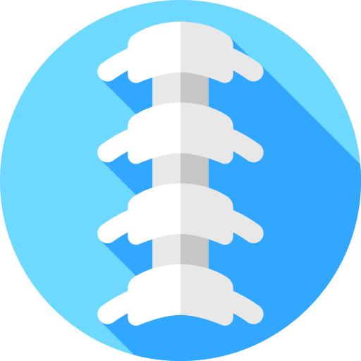 columna vertebral icono gratis