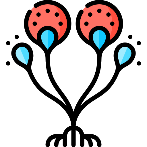 rhizopus icono gratis