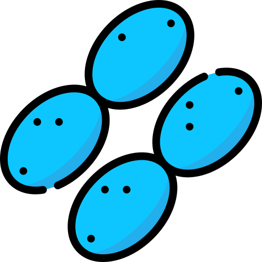 Acetobacter free icon Acetobacter free icon
