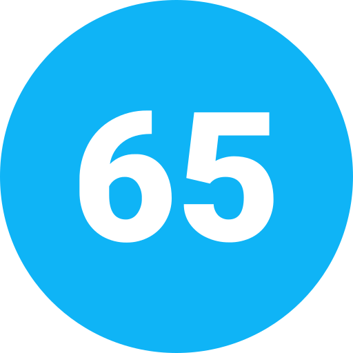 65 kostenlos Icon