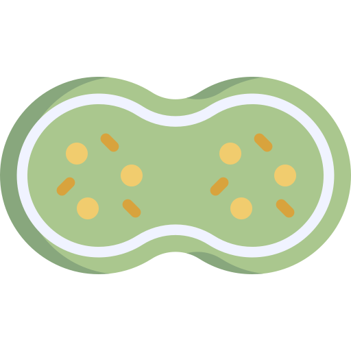 mitosis icono gratis