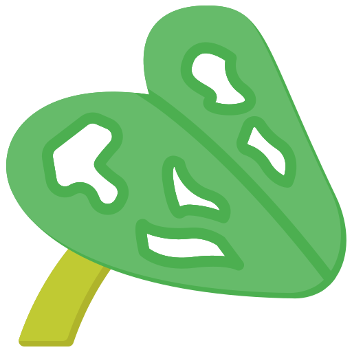 monstera kostenlos Icon