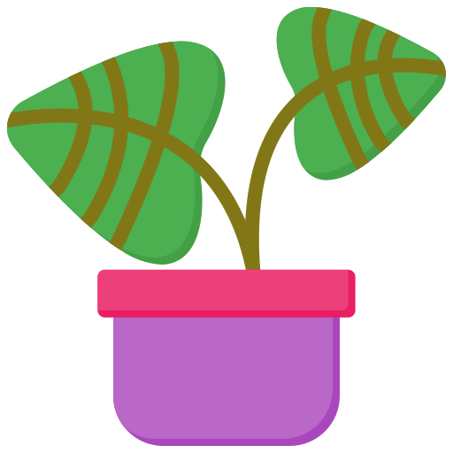 peperomia-wassermelone kostenlos Icon peperomia-wassermelone kostenlos Icon