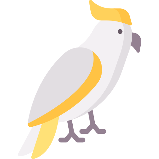 Cockatoo Special Flat icon