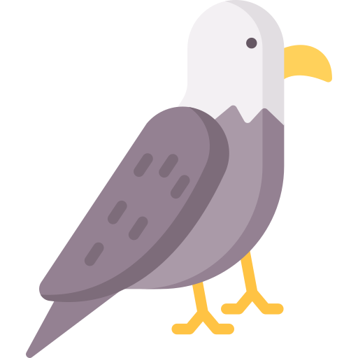 Águia grátis ícone