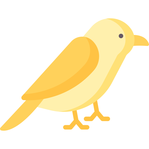 Canary Special Flat icon