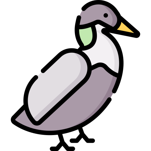 eider grátis ícone