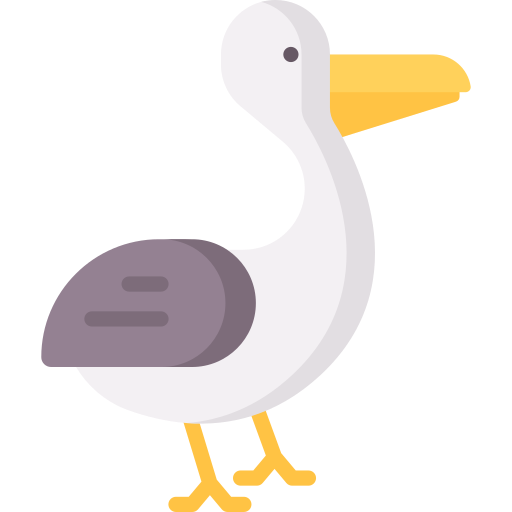 Pelican - Free animals icons