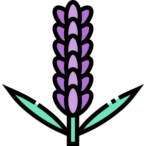 lavanda icono gratis