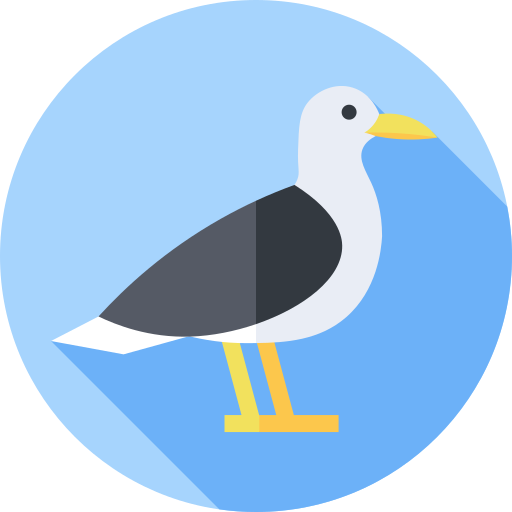 gaviota icono gratis