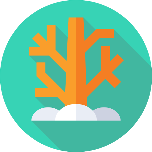 коралловый бесплатно иконка коралловый бесплатно иконка