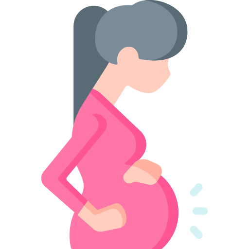 Pregnant Special Flat icon