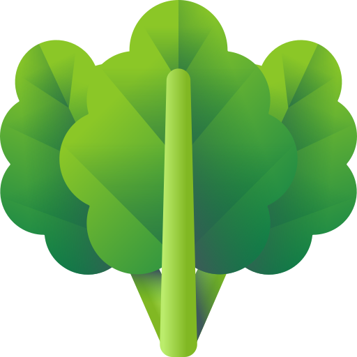 Spinach free icon