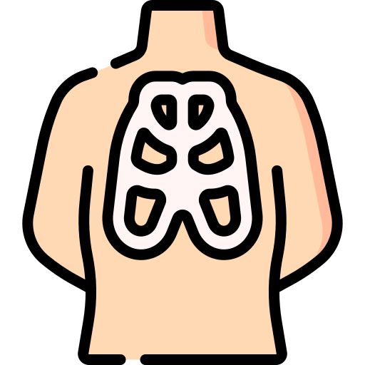 Thorax Special Lineal Color Icon