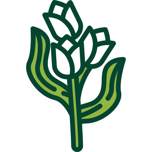 tulipán icono gratis