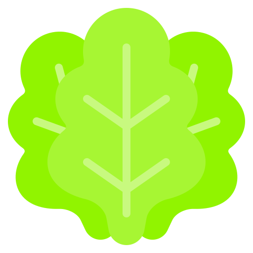 Lettuce Generic Flat Icon