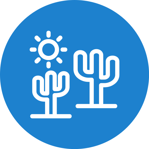 wüste kostenlos Icon