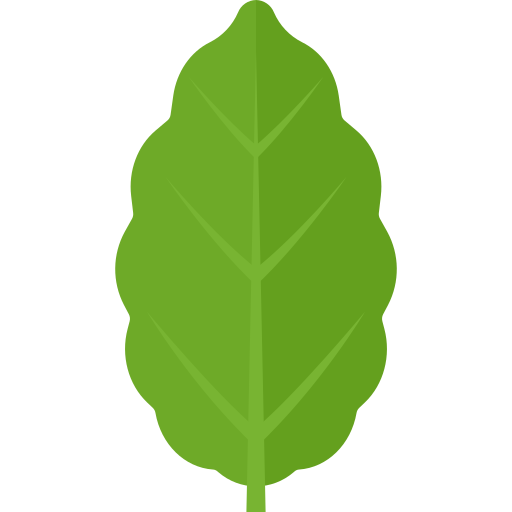 Leaf free icon