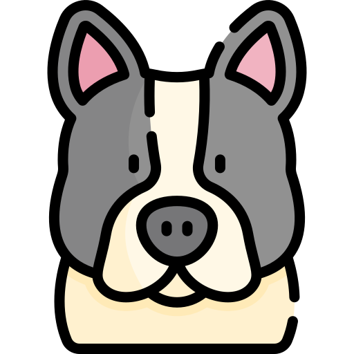 bulldog francés icono gratis