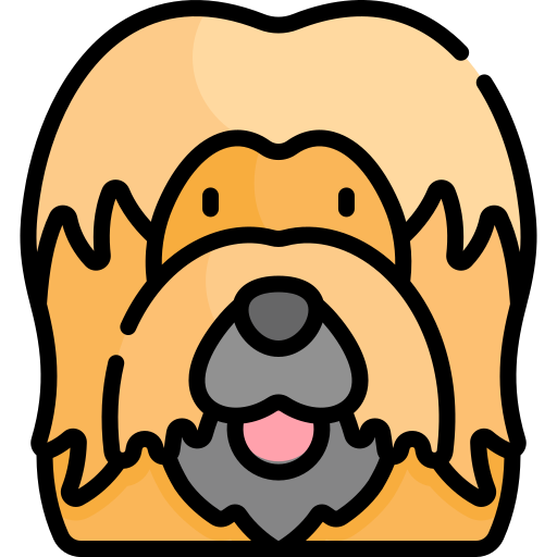 briard icono gratis