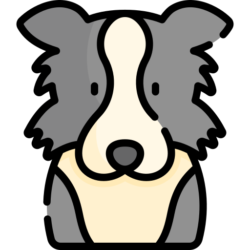 collie de frontera icono gratis