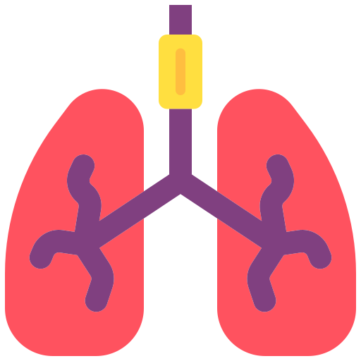 pulmones icono gratis