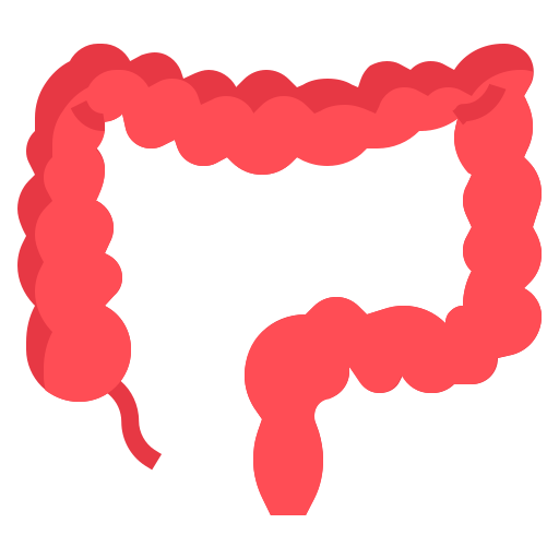 Colon Generic Flat icon